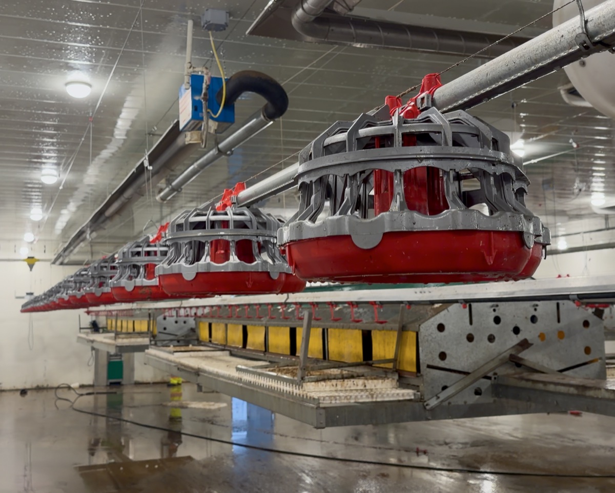 MGH Nest O' Matic raised over Reflect-O-Ray heating at Wilson Siding Colony