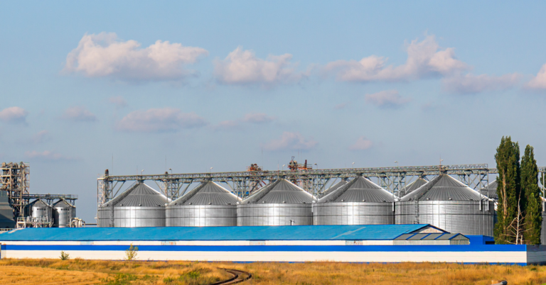 Game-Changing Ventilation in Poultry Facilities: Harnessing Reflect-O-Ray’s Infrared Influence
