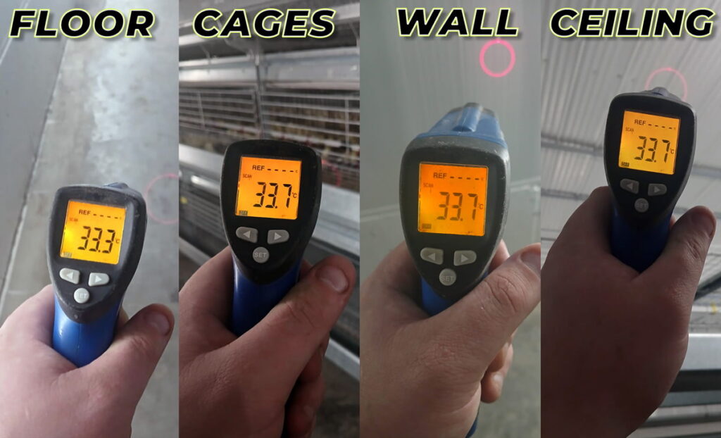 Four-panel infrared thermometer readings at Spring Point Colony pullet barn showing nearly identical surface temperatures across floor, cages, wall, and ceiling — visual proof of uniform radiant heating from Reflect-O-Ray.