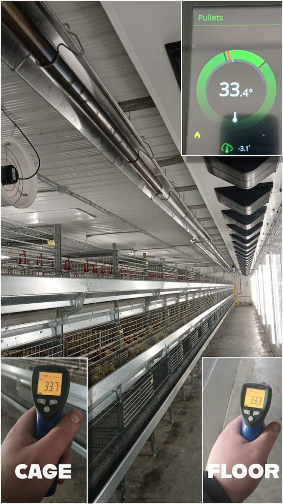 Reflect-O-Ray infrared heating temperature verification at Spring Point Colony poultry barn showing uniform surface temperatures across cages and structure