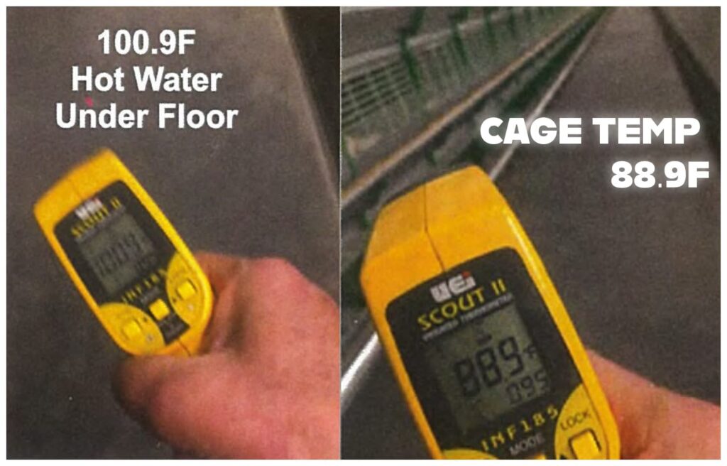 Reflect-O-Ray: Everything Heating 2 Underfloor heated poultry barn cage temperature check showing elevated slab heat and cooler cage steel compared to surface-first radiant heating systems
